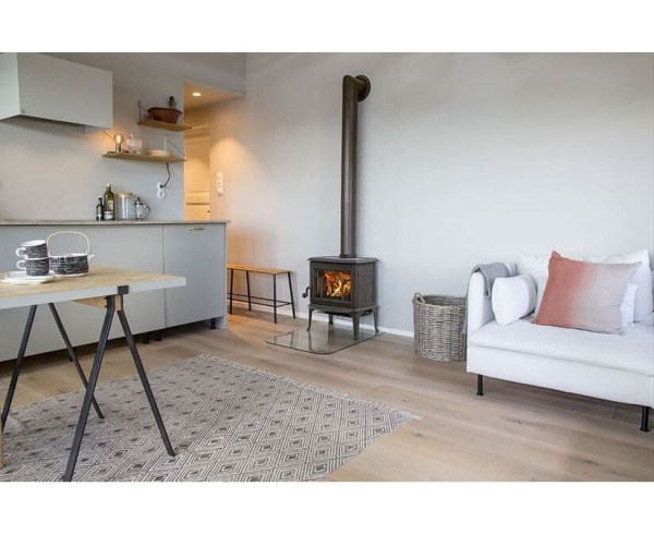 Печь-камин Jotul (Йотул) ECO LL BP Печь-камин Jotul (Йотул) ECO LL BP